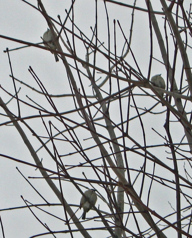 f:id:atarou:20120205185711j:image