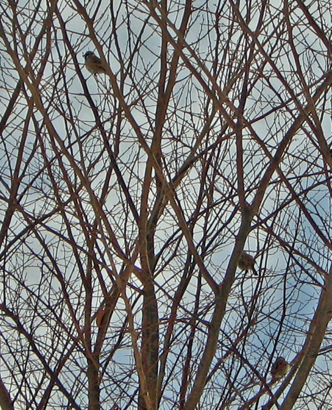 f:id:atarou:20120206065626j:image