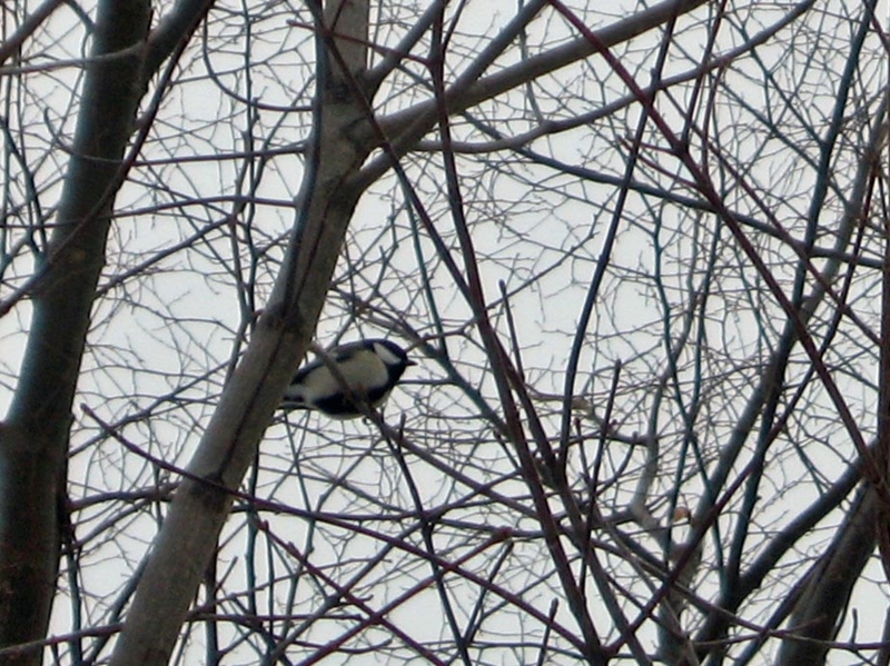 f:id:atarou:20120206065628j:image