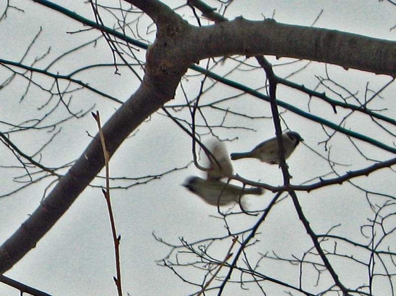 f:id:atarou:20120206065629j:image