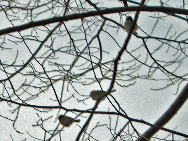 f:id:atarou:20120206065630j:image