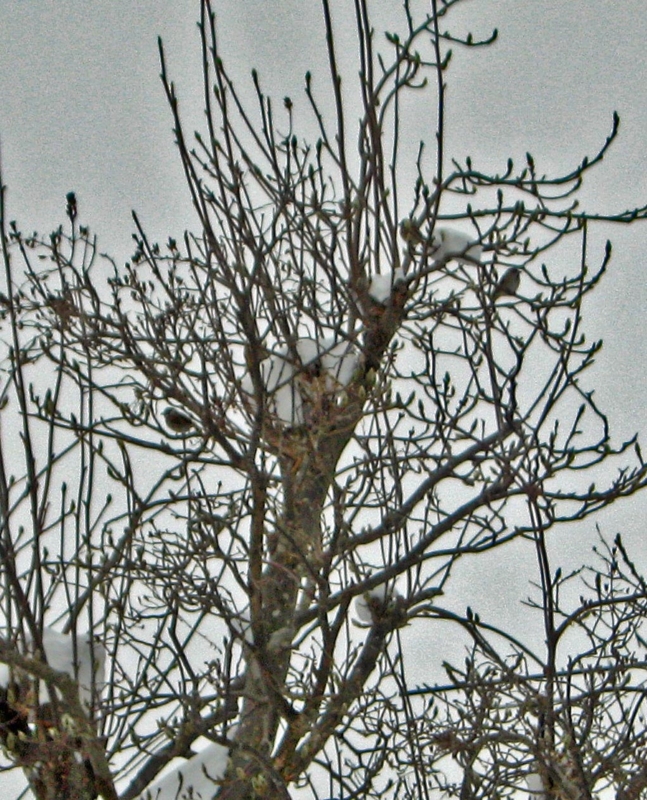 f:id:atarou:20120206065631j:image
