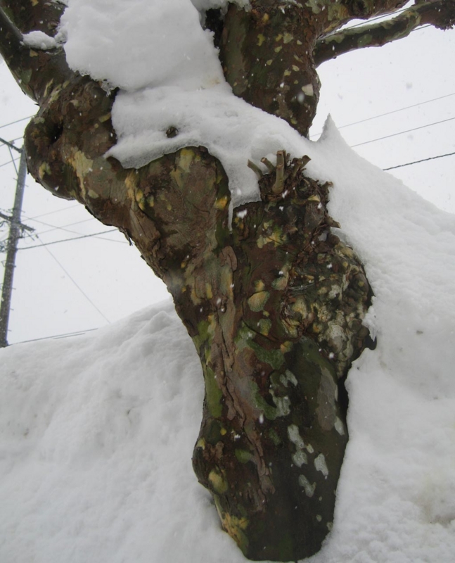 f:id:atarou:20120207170643j:image
