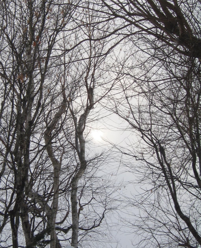 f:id:atarou:20120208064912j:image