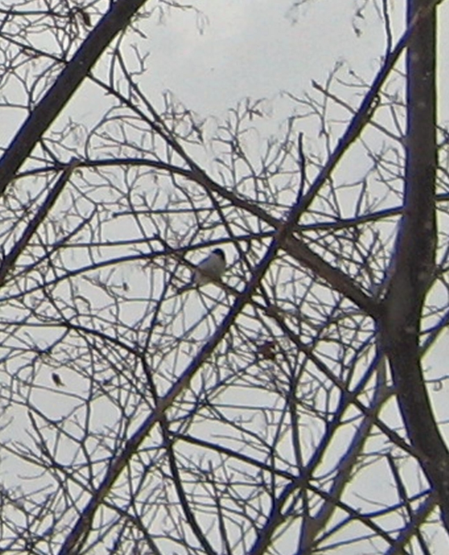 f:id:atarou:20120210060958j:image