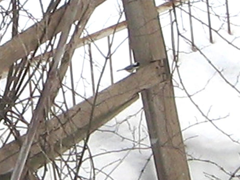 f:id:atarou:20120210064616j:image