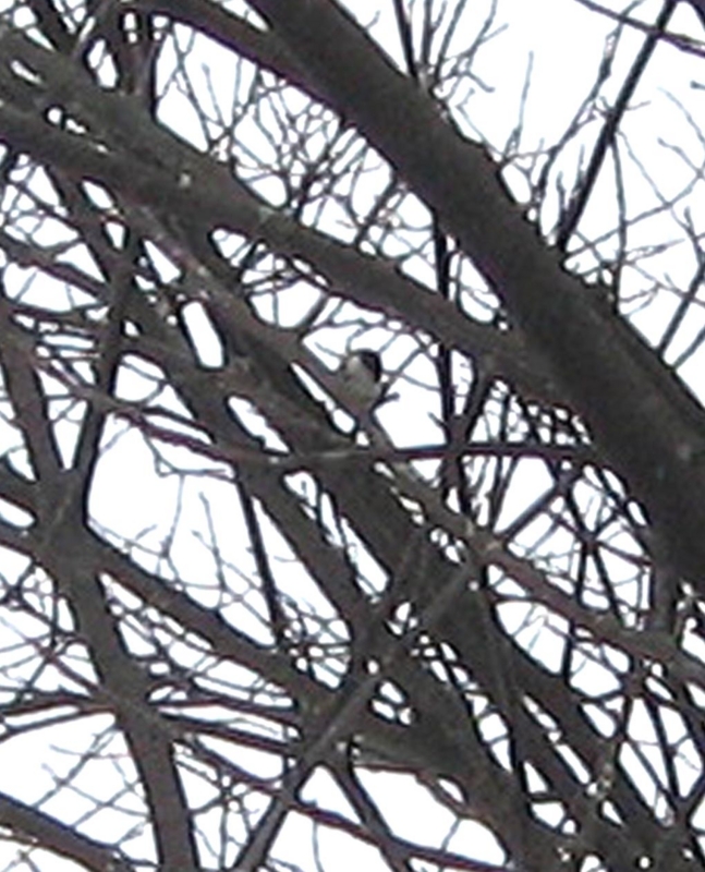 f:id:atarou:20120210064617j:image