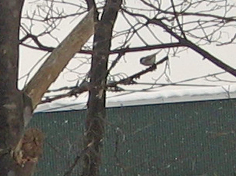 f:id:atarou:20120210064619j:image