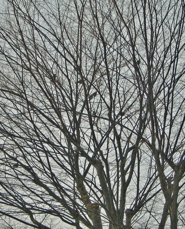 f:id:atarou:20120211063037j:image