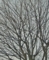 20120211063037