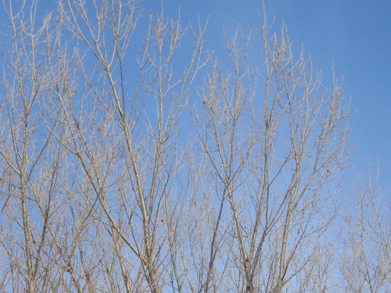 20120213065710