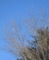 20120213173550