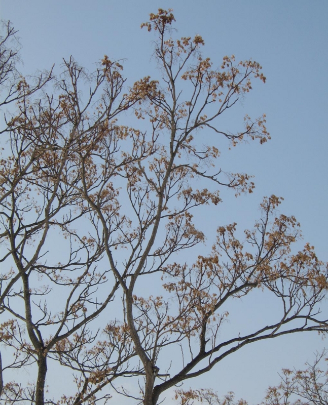 f:id:atarou:20120214173825j:image