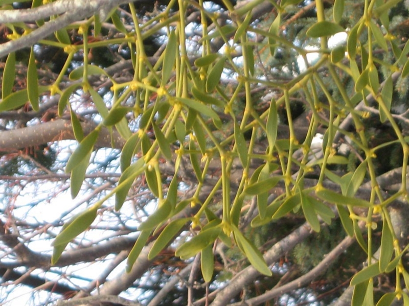 f:id:atarou:20120215065852j:image