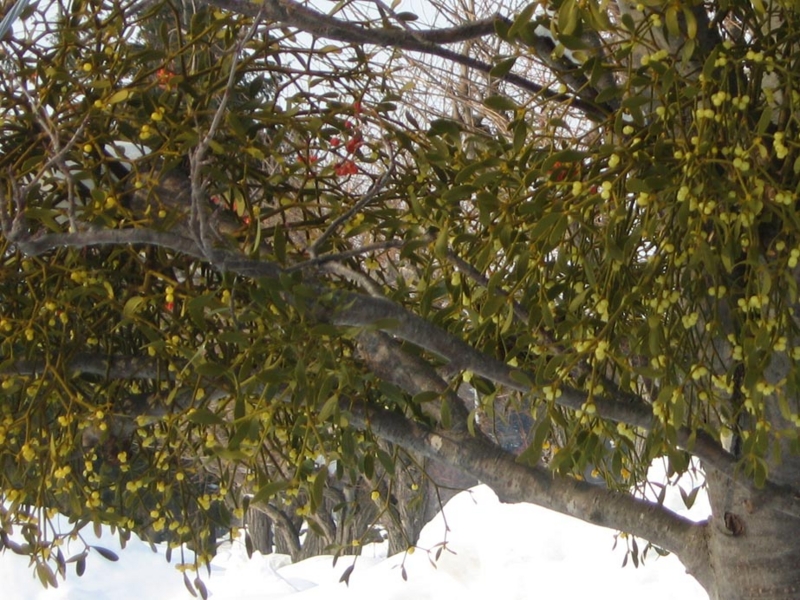 f:id:atarou:20120215065857j:image