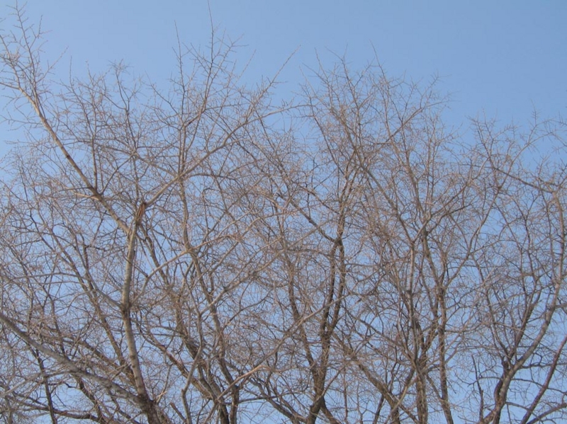 f:id:atarou:20120215071040j:image