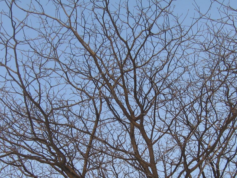 f:id:atarou:20120215071044j:image