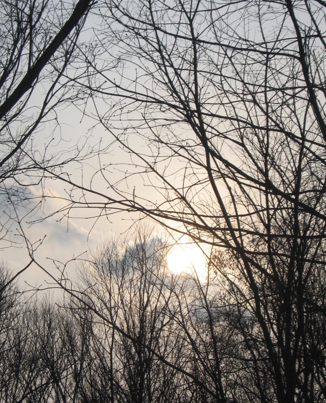 f:id:atarou:20120215071712j:image