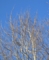 20120217062413