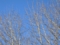 20120217062415