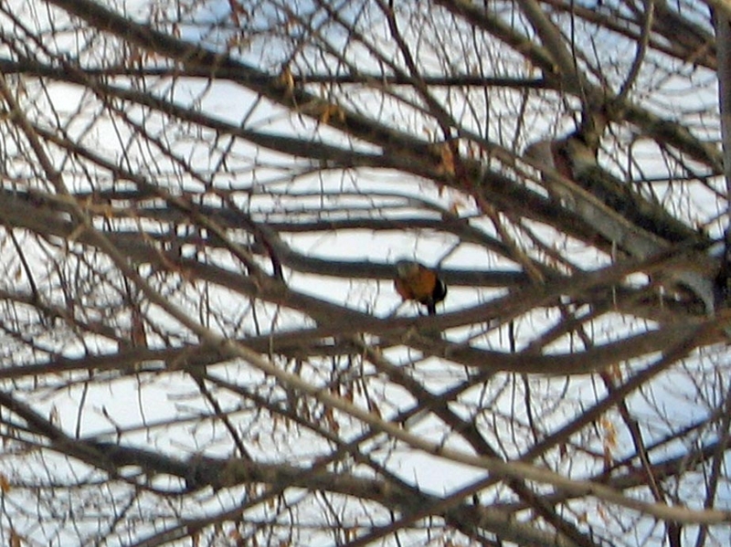 f:id:atarou:20120220064241j:image