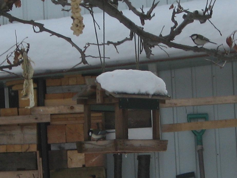f:id:atarou:20120220064735j:image