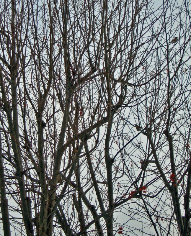 f:id:atarou:20120220065320j:image