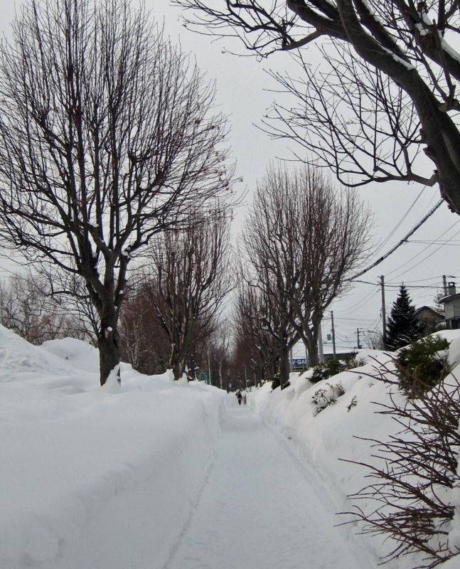 f:id:atarou:20120220065322j:image