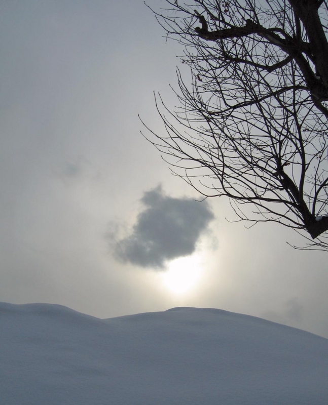 f:id:atarou:20120220065735j:image