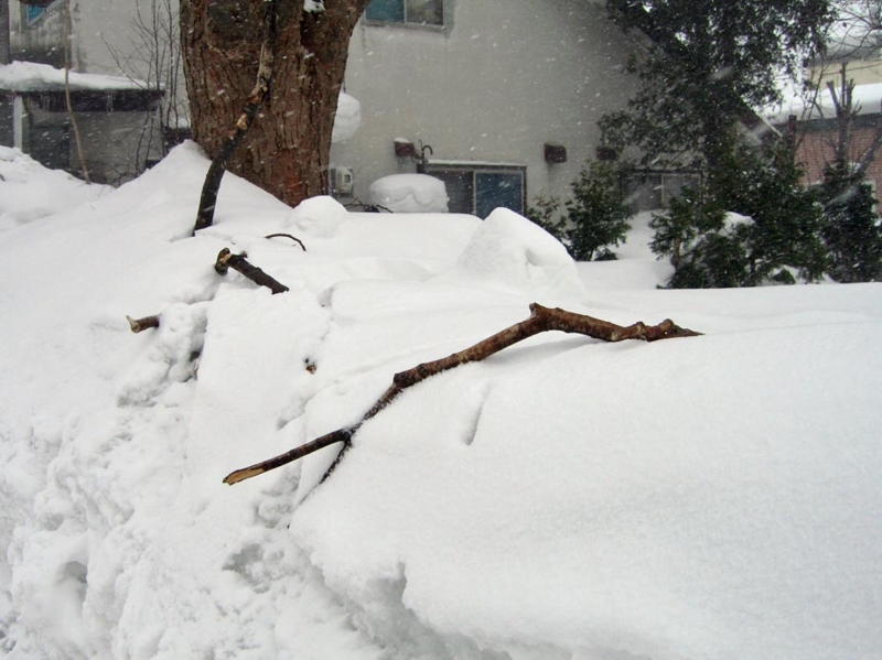f:id:atarou:20120222063309j:image