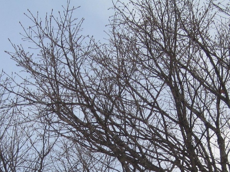 f:id:atarou:20120222070114j:image