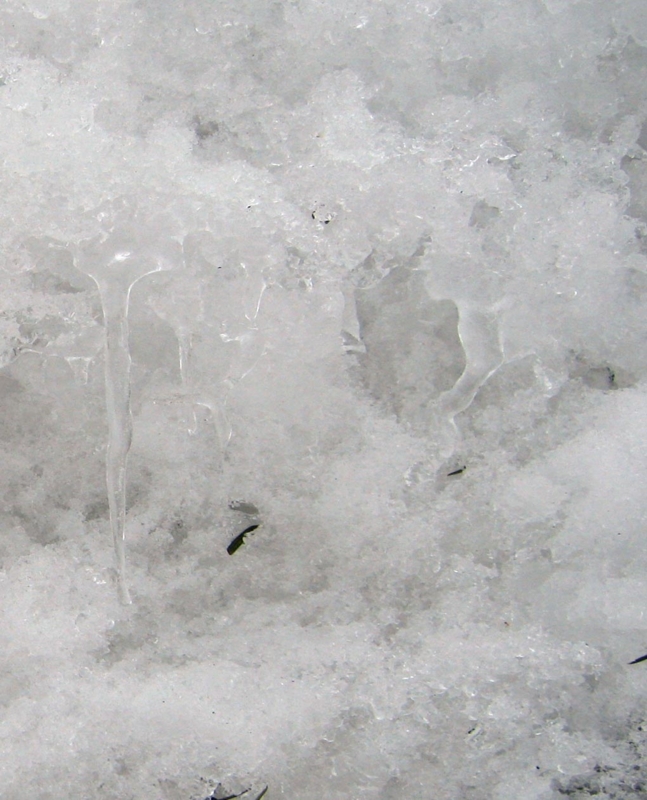 f:id:atarou:20120223191443j:image