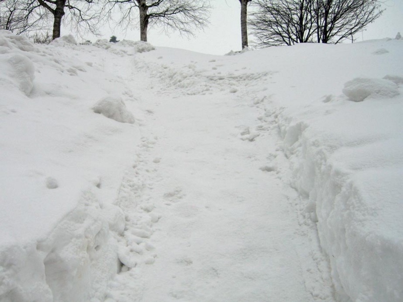 f:id:atarou:20120224065403j:image