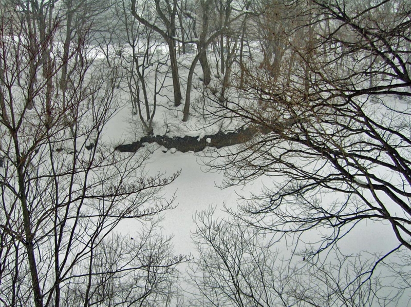f:id:atarou:20120224065404j:image