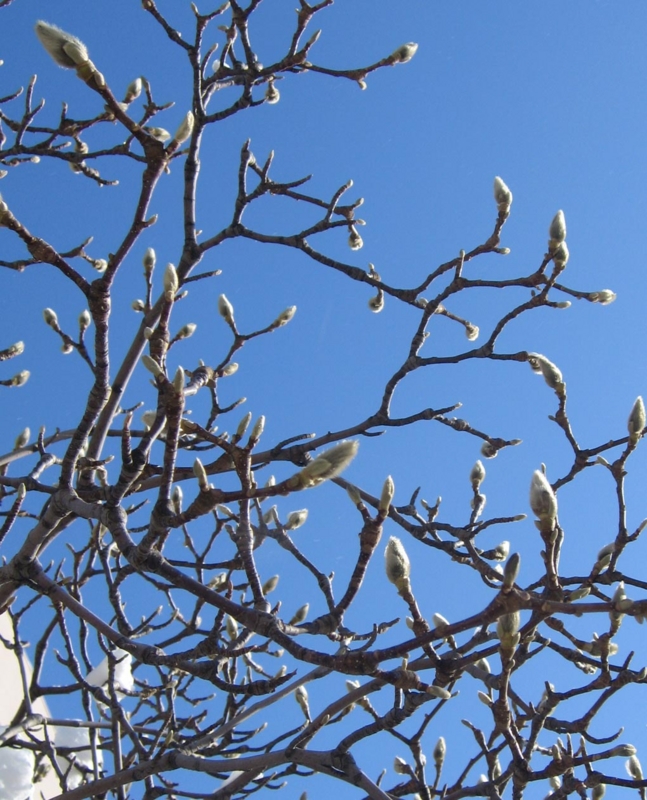 f:id:atarou:20120225061405j:image
