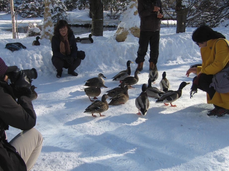 f:id:atarou:20120225064314j:image