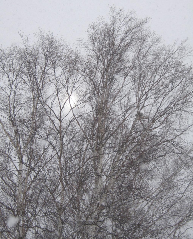 f:id:atarou:20120227072029j:image f:id:atarou:20120227072029j:image