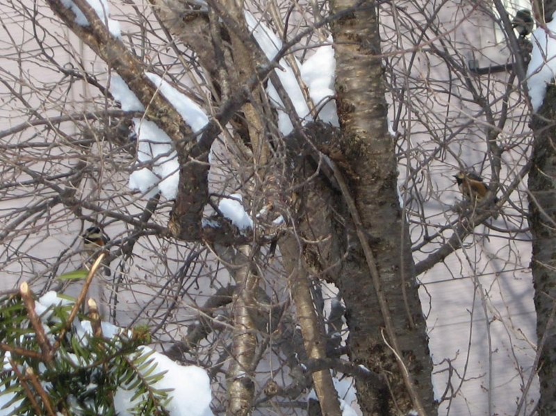 f:id:atarou:20120227074020j:image f:id:atarou:20120227074020j:image