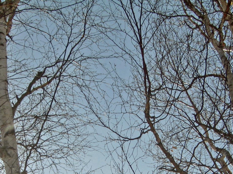 f:id:atarou:20120227074023j:image f:id:atarou:20120227074023j:image