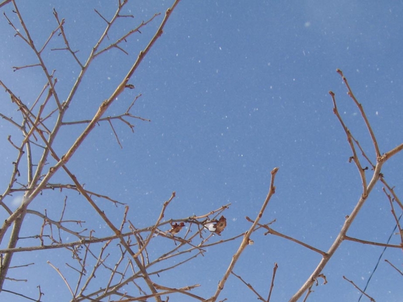 f:id:atarou:20120227074330j:image f:id:atarou:20120227074330j:image