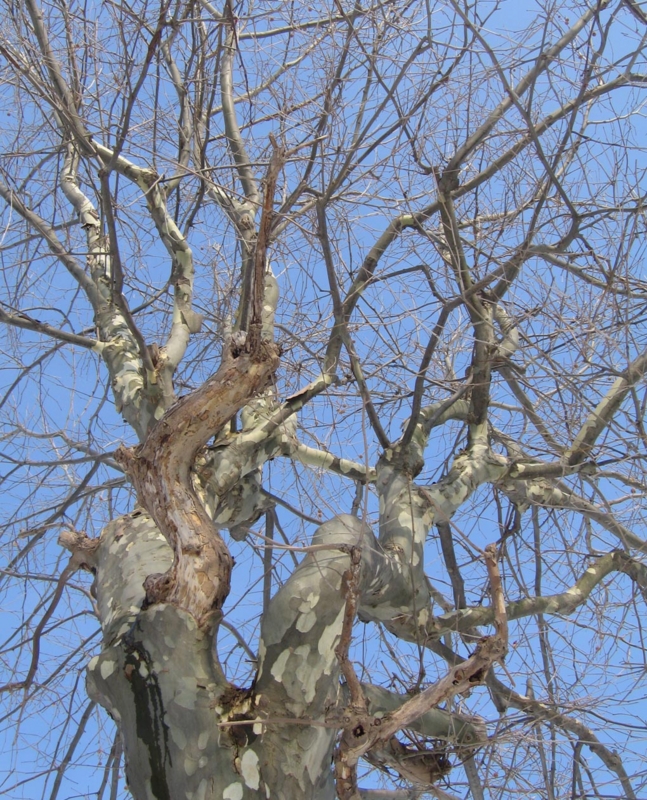 f:id:atarou:20120302062402j:image