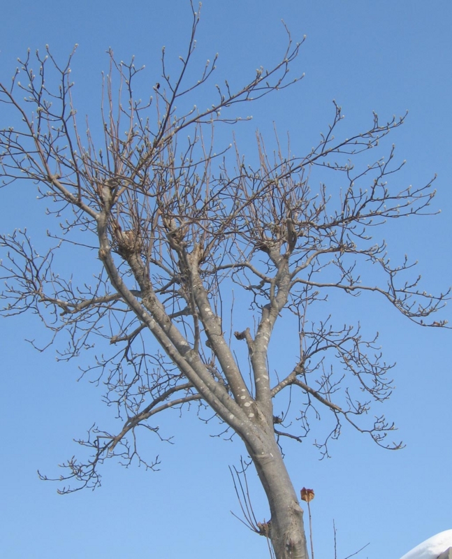f:id:atarou:20120302065657j:image