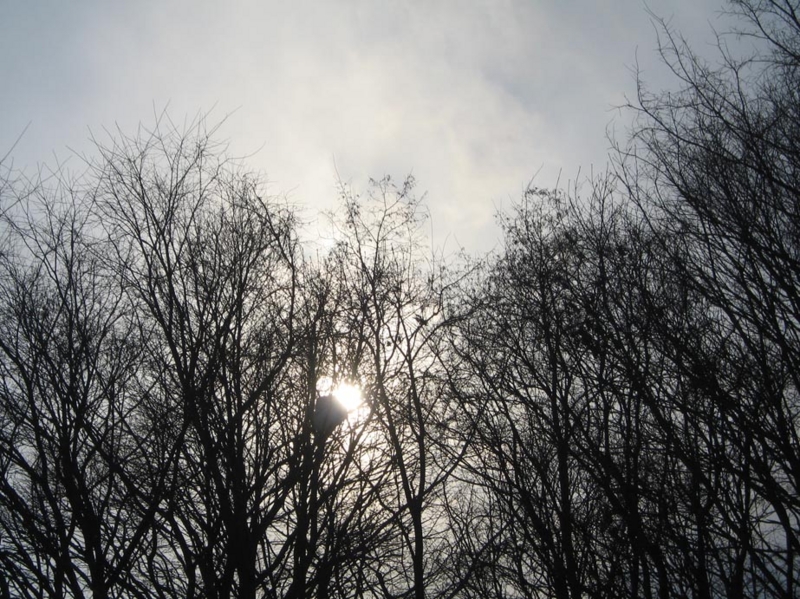 f:id:atarou:20120302071449j:image