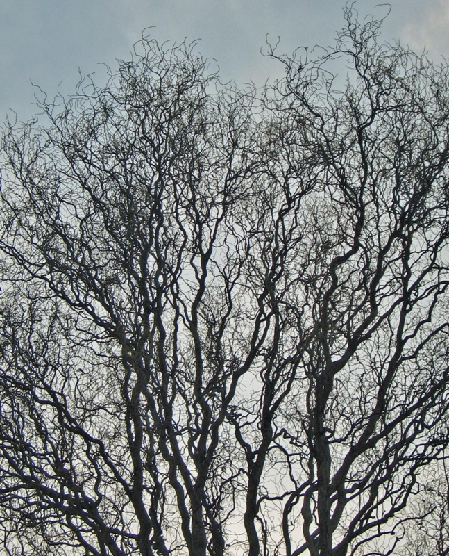 f:id:atarou:20120302072049j:image