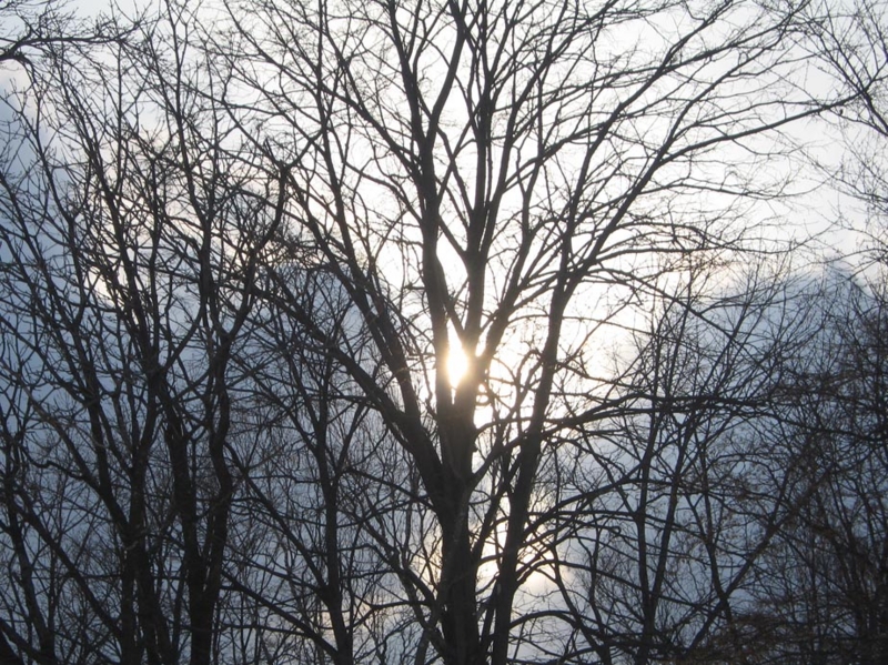 f:id:atarou:20120302072515j:image