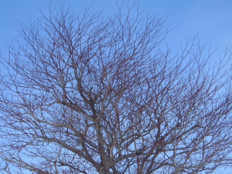 f:id:atarou:20120304064841j:image