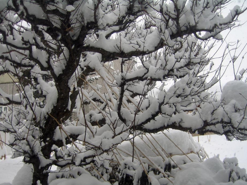 f:id:atarou:20120304072303j:image