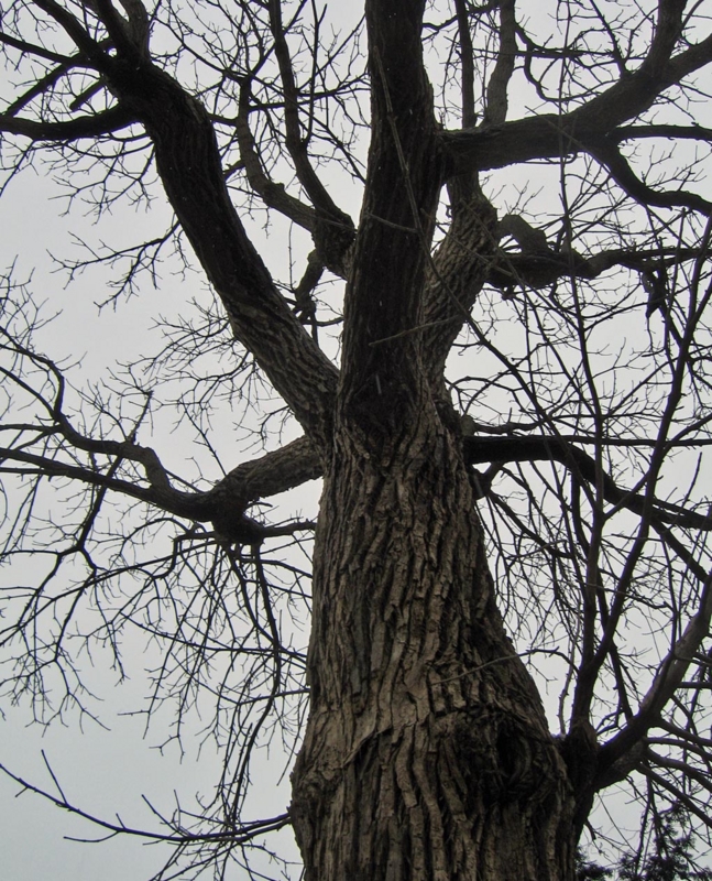f:id:atarou:20120307065415j:image