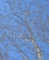 20120328060454