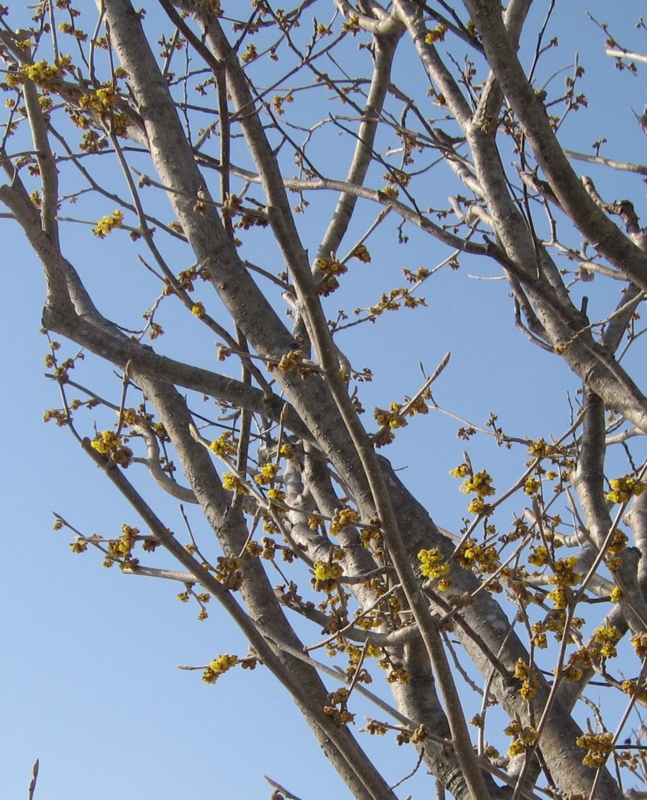 f:id:atarou:20120329165638j:image